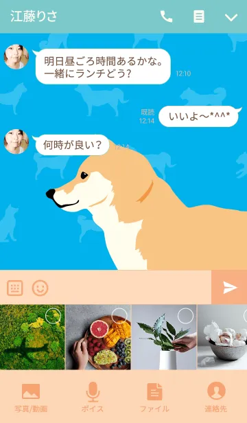 [LINE着せ替え] 犬の日常4の画像4