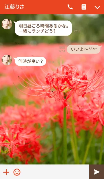 [LINE着せ替え] 彼岸花-cluster amaryllis-の画像3