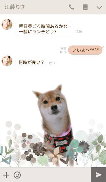 [LINE着せ替え] 柴犬ひなた2の画像3