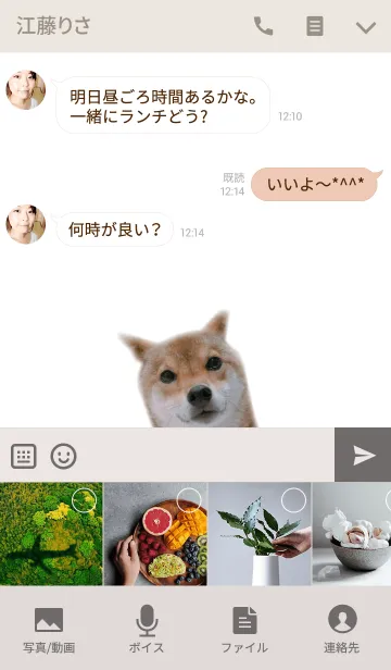 [LINE着せ替え] 柴犬ひなた2の画像4