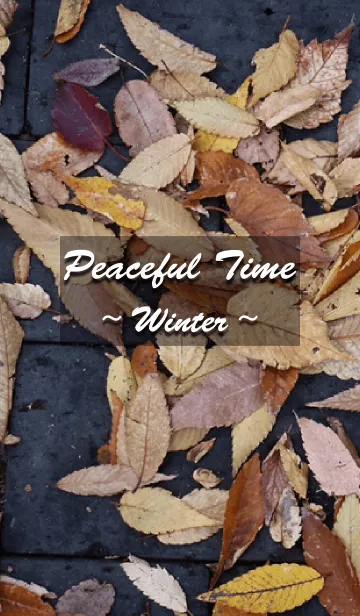 [LINE着せ替え] Peaceful time -Winter-の画像1