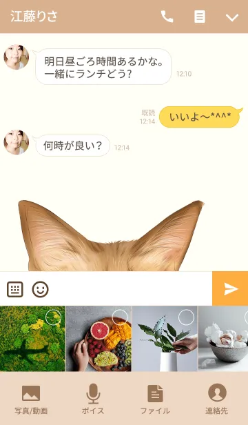 [LINE着せ替え] よっちゃん専用のネコのなまえ名前着せ替えの画像4