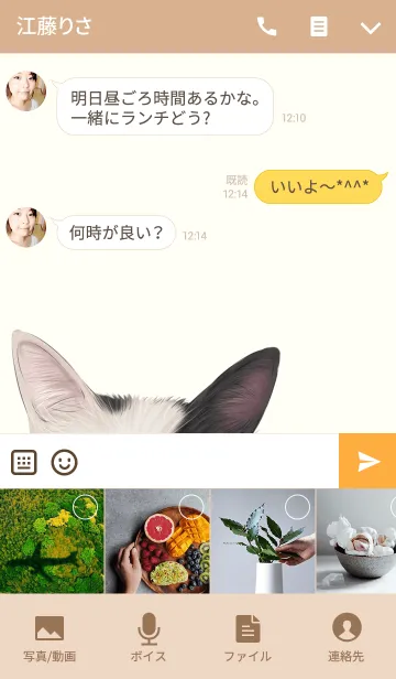 [LINE着せ替え] しぃちゃん専用のネコのなまえ名前着せ替えの画像4