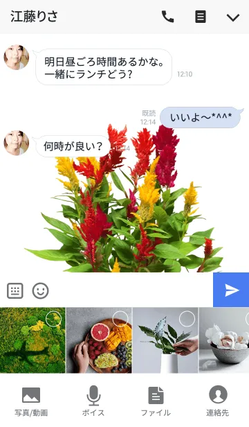 [LINE着せ替え] ケイトウの着せかえの画像4