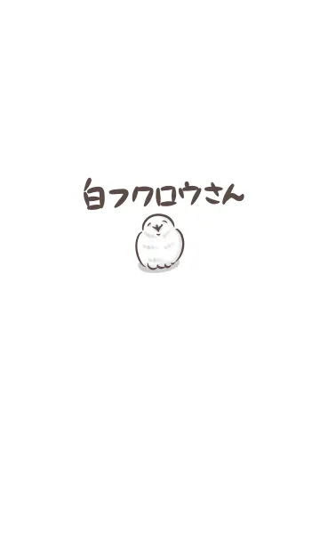 [LINE着せ替え] 白フクロウさんの画像1