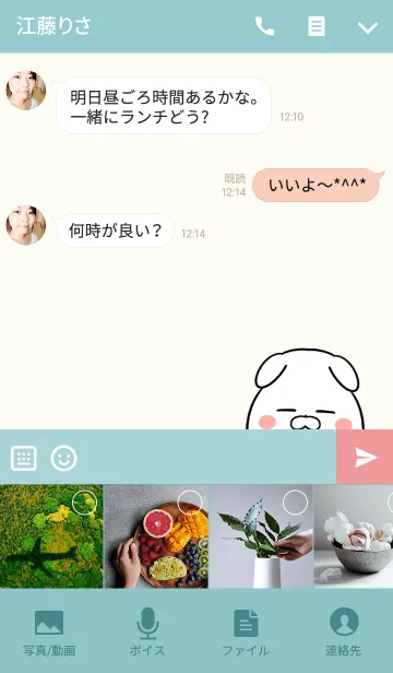 [LINE着せ替え] あさちゃん専用かわいいイヌの名前着せかえの画像4