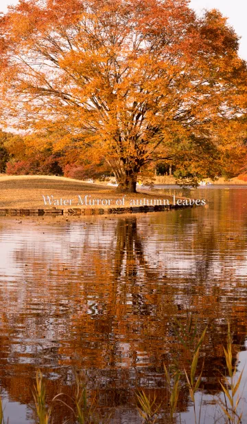 [LINE着せ替え] 水鏡の紅葉の画像1