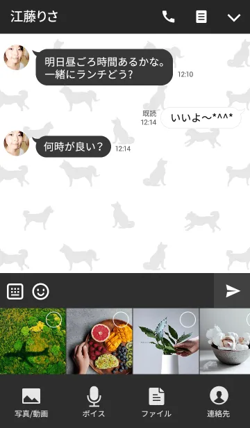 [LINE着せ替え] 犬の日常！の画像4