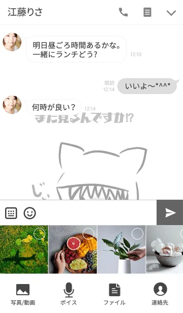 [LINE着せ替え] 警戒ねこちゃんの画像4