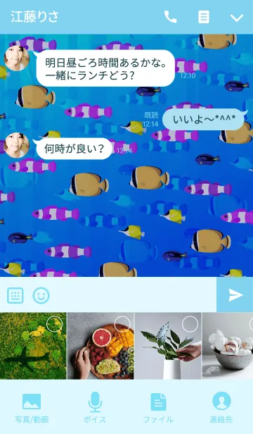 [LINE着せ替え] 魚群の画像4