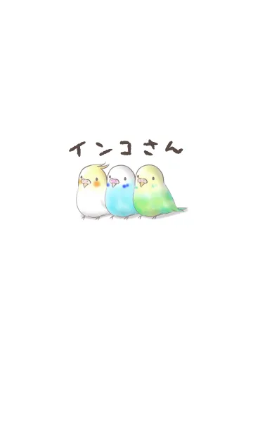 [LINE着せ替え] インコさん シンプルの画像1