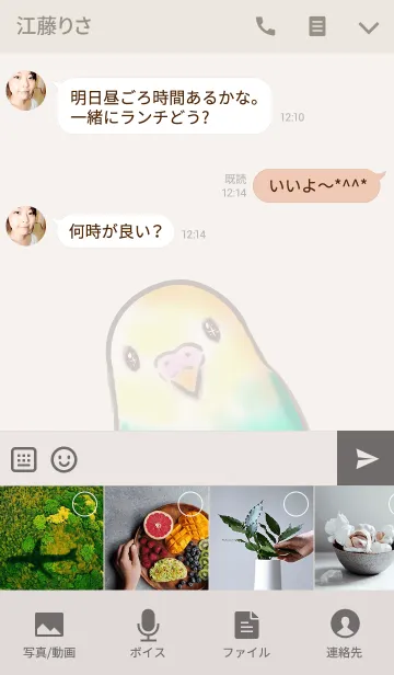 [LINE着せ替え] インコさん シンプルの画像4