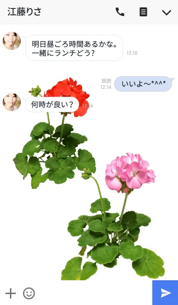 [LINE着せ替え] ゼラニウムの着せかえの画像3