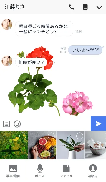 [LINE着せ替え] ゼラニウムの着せかえの画像4