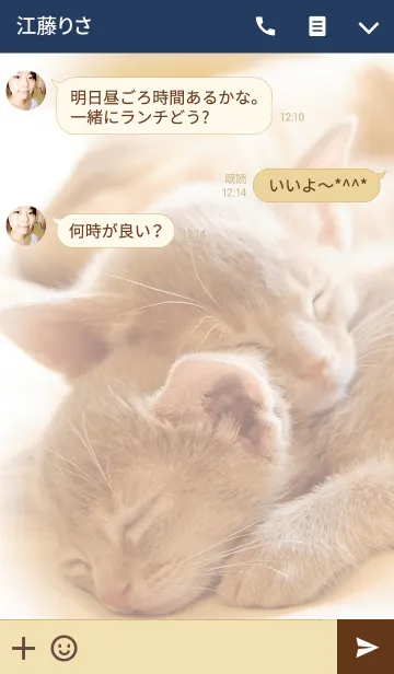 [LINE着せ替え] おやすみキャットの画像3