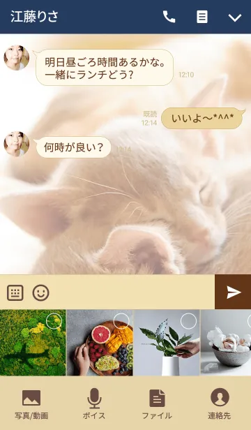 [LINE着せ替え] おやすみキャットの画像4