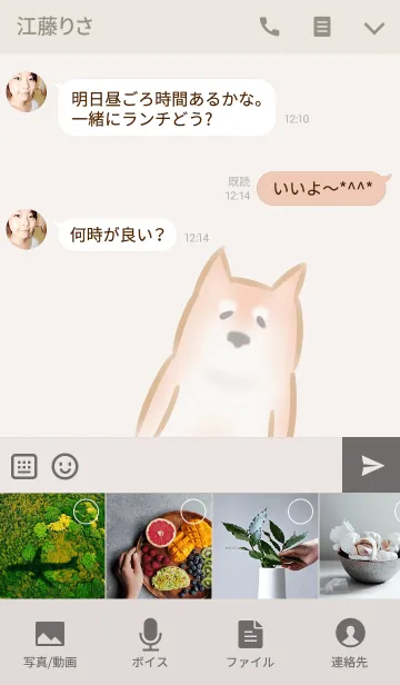 [LINE着せ替え] 柴犬さんの画像4