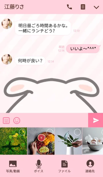 [LINE着せ替え] ことは専用のうさぎのなまえ名前着せ替えの画像4