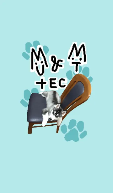 [LINE着せ替え] MU＆MT+EC＠ペットグランプリの画像1