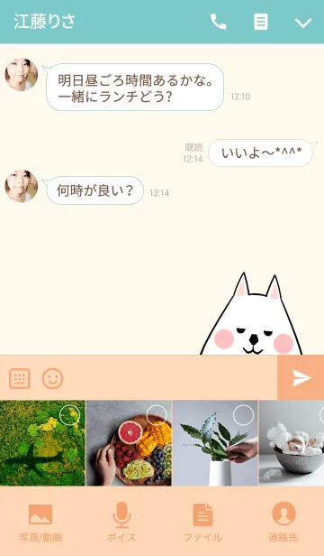 [LINE着せ替え] けいちゃん専用かわいいイヌの名前着せかえの画像4