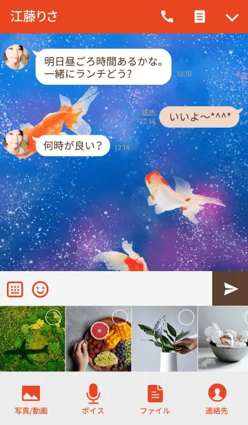 [LINE着せ替え] 金魚と星空の画像4