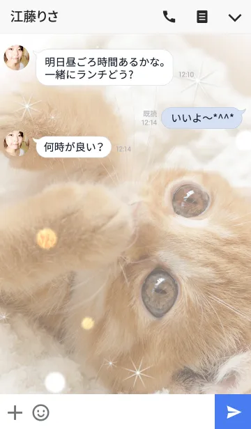 [LINE着せ替え] 冬のBabyスコテッシュの画像3