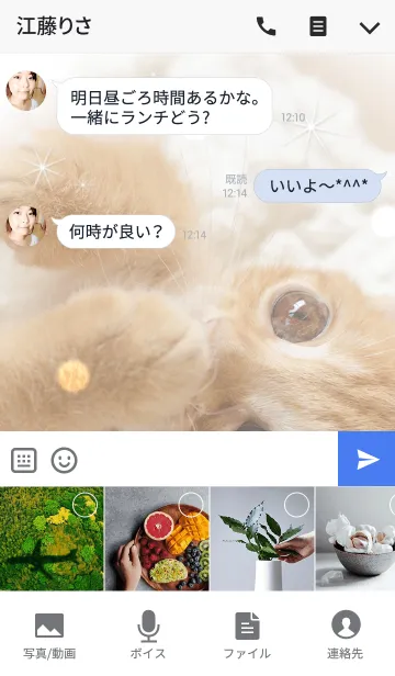 [LINE着せ替え] 冬のBabyスコテッシュの画像4