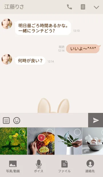 [LINE着せ替え] うさぎさんのおしりの画像4