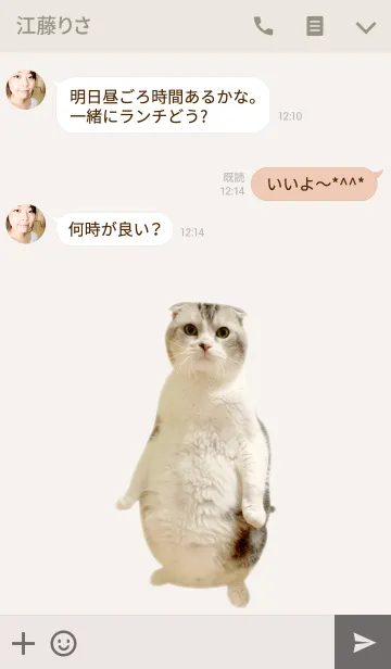 [LINE着せ替え] PETOUCH @ペットグランプリの画像3