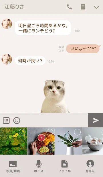 [LINE着せ替え] PETOUCH @ペットグランプリの画像4