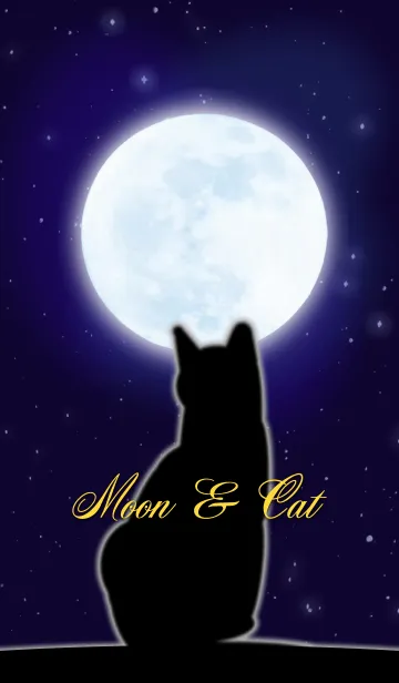 [LINE着せ替え] Moon ＆ Catの画像1