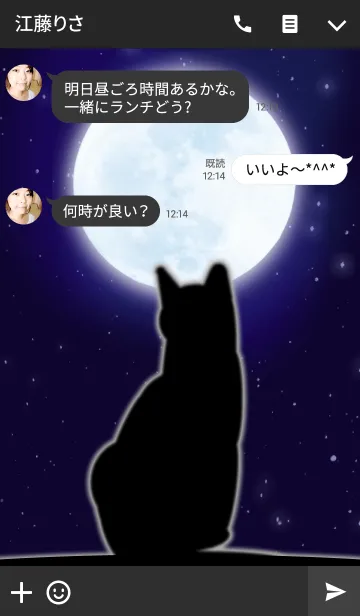 [LINE着せ替え] Moon ＆ Catの画像3