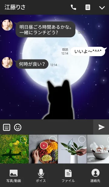 [LINE着せ替え] Moon ＆ Catの画像4