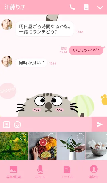 [LINE着せ替え] Animal Circleの画像4