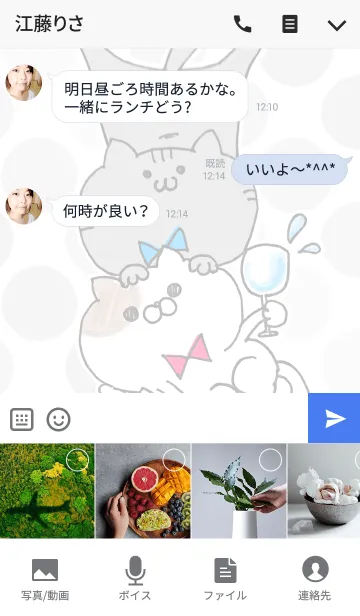 [LINE着せ替え] うちのねっこの画像4