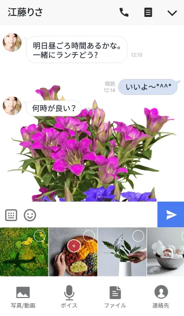 [LINE着せ替え] リンドウの着せかえの画像4