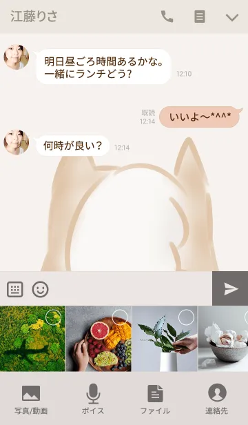 [LINE着せ替え] 柴犬のおしりの画像4