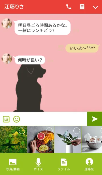 [LINE着せ替え] Labrador Retriever Momo@ペットグランプリの画像4