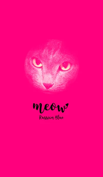 [LINE着せ替え] Meow - Pink ＆ Black @ペットグランプリの画像1