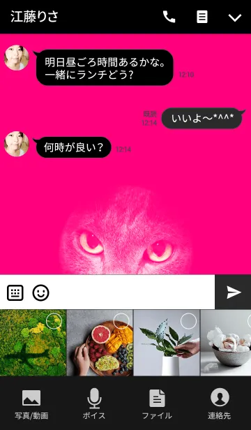 [LINE着せ替え] Meow - Pink ＆ Black @ペットグランプリの画像4