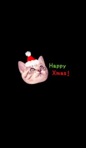 [LINE着せ替え] Santa Claus Cats ♡の画像1