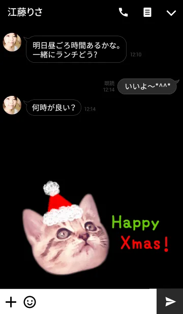 [LINE着せ替え] Santa Claus Cats ♡の画像3