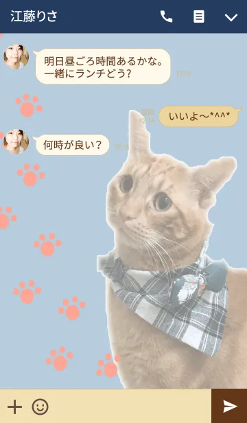 [LINE着せ替え] 愛猫の龍の画像3