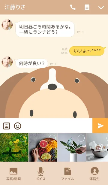 [LINE着せ替え] Simple Boy Dog theme(jp)の画像4