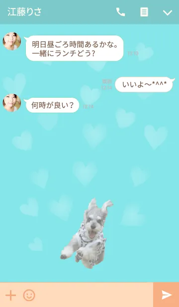 [LINE着せ替え] シュナのあえるちゃん：写真着せかえの画像3