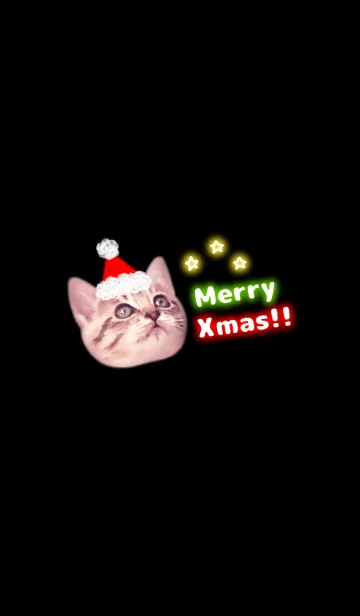 [LINE着せ替え] Santa Claus Cats ♡ ~Neon ver~の画像1