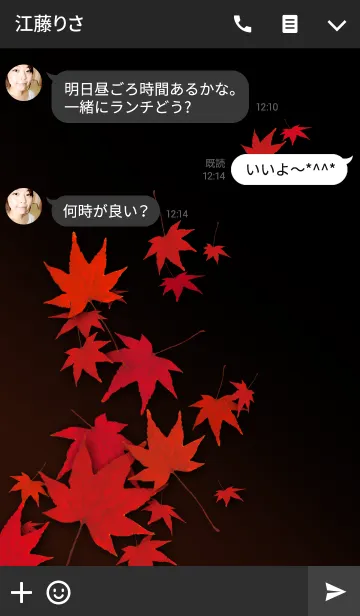 [LINE着せ替え] AUTUMN LEAVES 紅葉の画像3