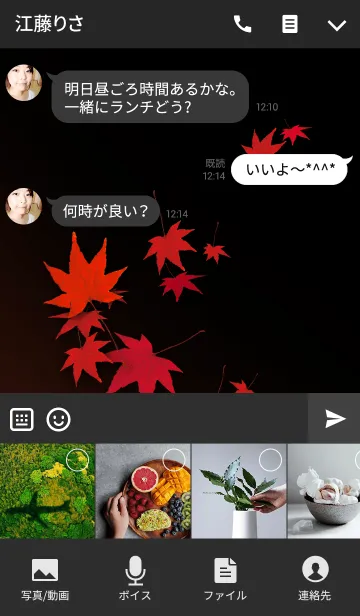 [LINE着せ替え] AUTUMN LEAVES 紅葉の画像4