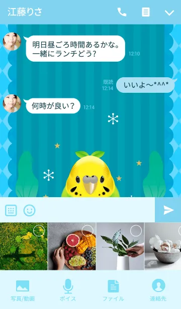 [LINE着せ替え] リアルまめインコちゃんの画像4