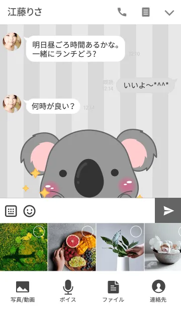 [LINE着せ替え] I'm Cute Koala Theme(jp)の画像4